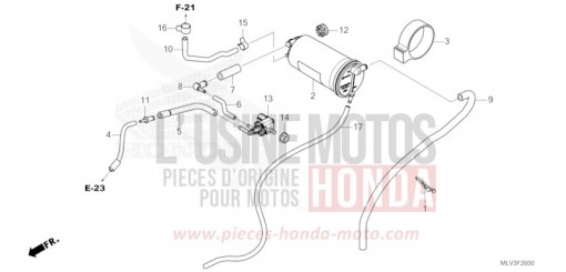 CUVETTE CB1000ST de 2026